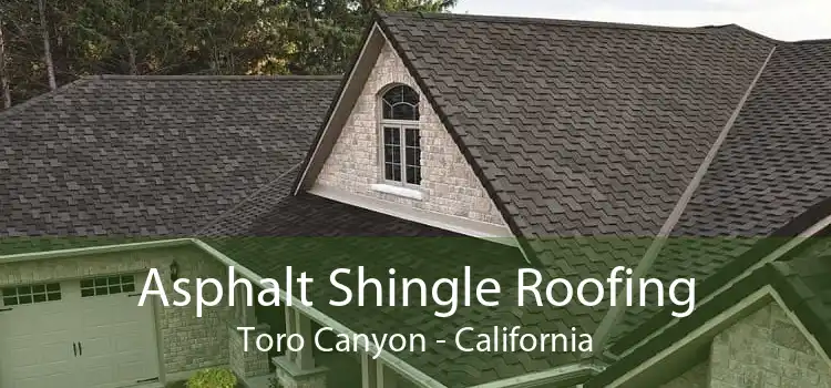 Asphalt Shingle Roofing Toro Canyon - California