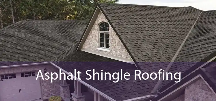 Asphalt Shingle Roofing 