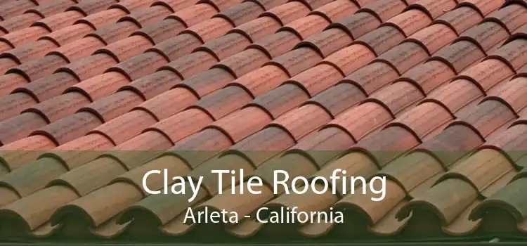 Clay Tile Roofing Arleta - California