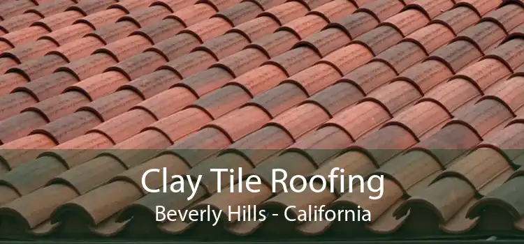 Clay Tile Roofing Beverly Hills - California