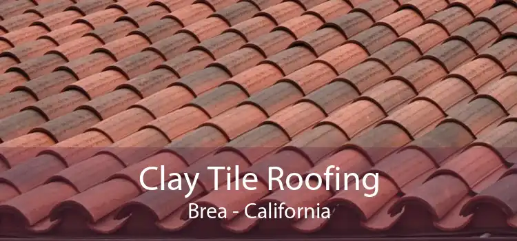Clay Tile Roofing Brea - California