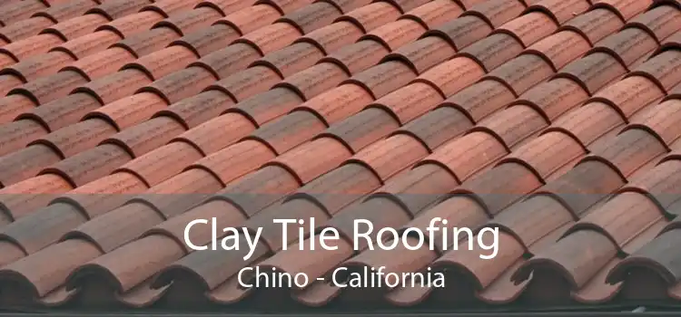 Clay Tile Roofing Chino - California