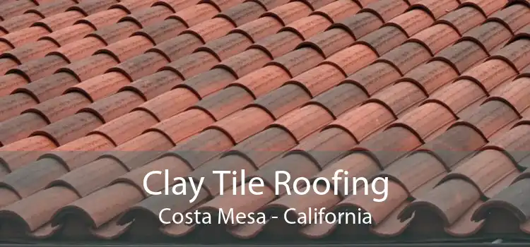 Clay Tile Roofing Costa Mesa - California