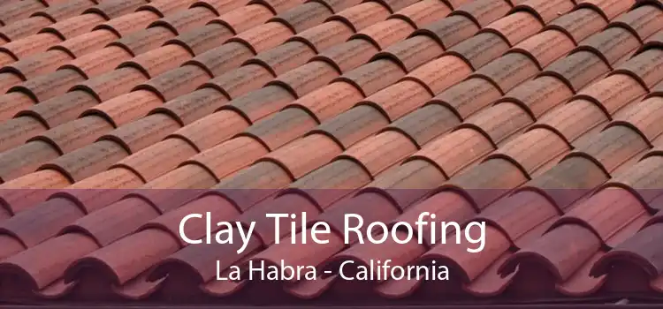 Clay Tile Roofing La Habra - California