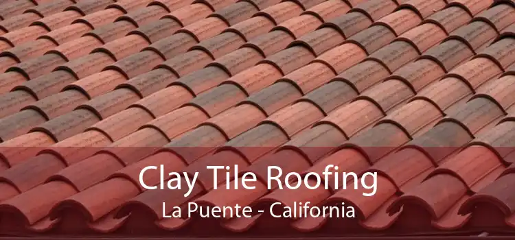 Clay Tile Roofing La Puente - California