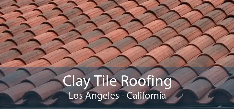 Clay Tile Roofing Los Angeles - California