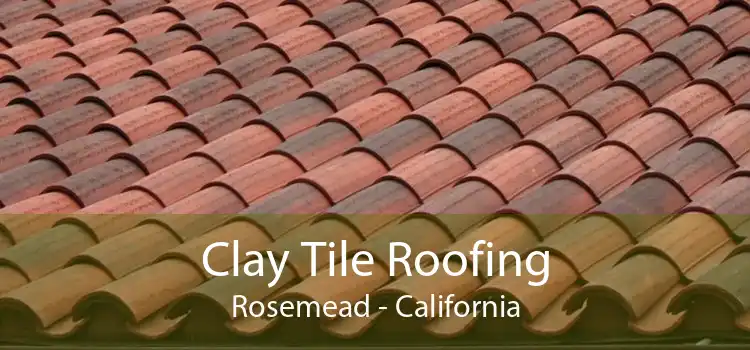 Clay Tile Roofing Rosemead - California