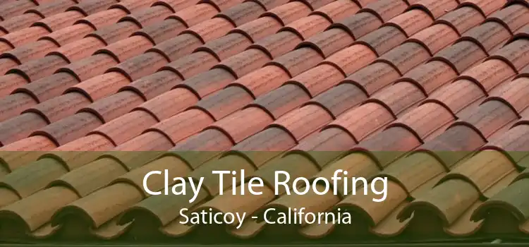 Clay Tile Roofing Saticoy - California