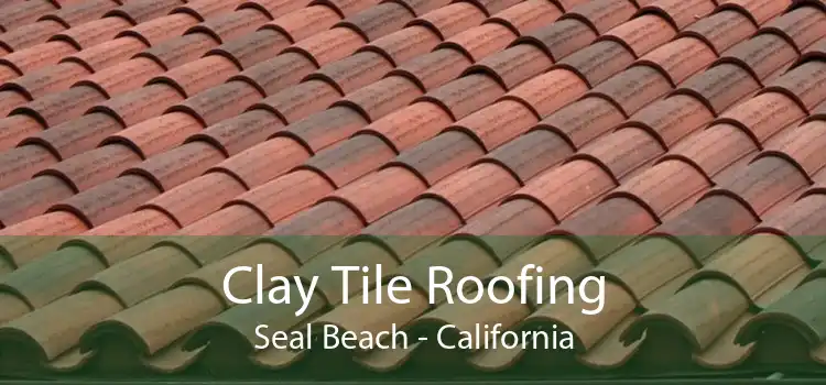 Clay Tile Roofing Seal Beach - California