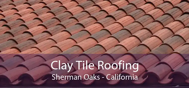 Clay Tile Roofing Sherman Oaks - California