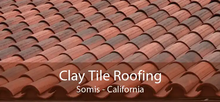 Clay Tile Roofing Somis - California