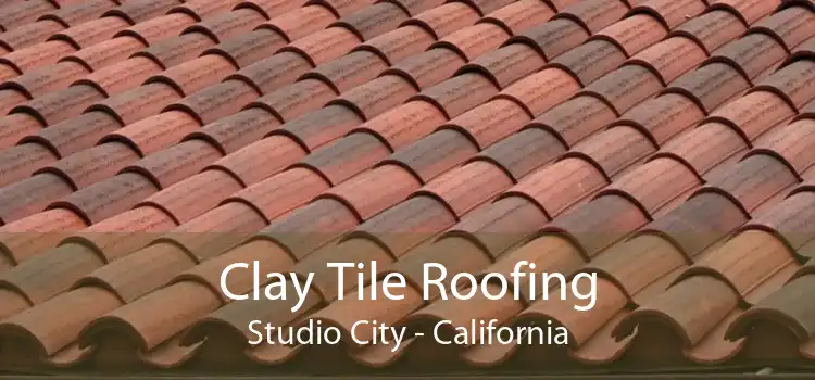 Clay Tile Roofing Studio City - California