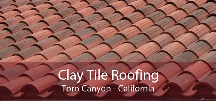 Clay Tile Roofing Toro Canyon - California
