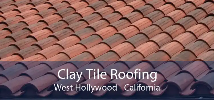 Clay Tile Roofing West Hollywood - California