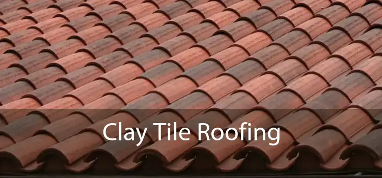 Clay Tile Roofing 