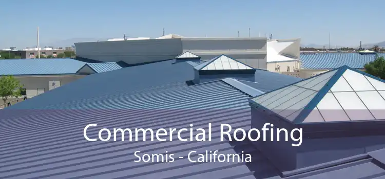 Commercial Roofing Somis - California