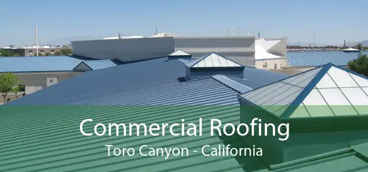 Commercial Roofing Toro Canyon - California