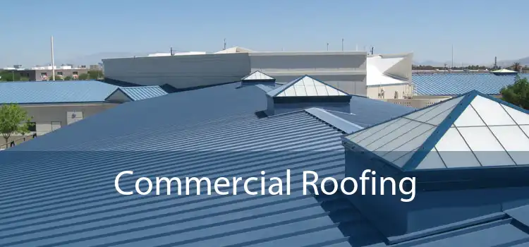 Commercial Roofing 