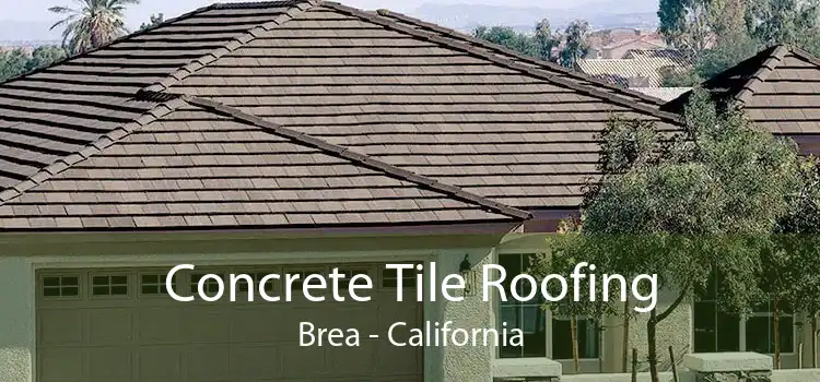 Concrete Tile Roofing Brea - California