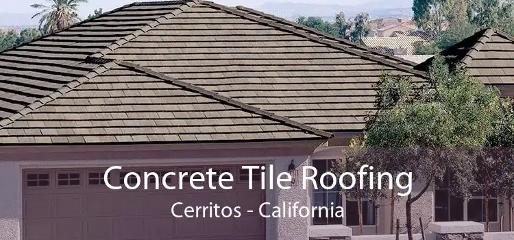 Concrete Tile Roofing Cerritos - California