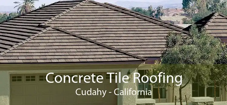 Concrete Tile Roofing Cudahy - California
