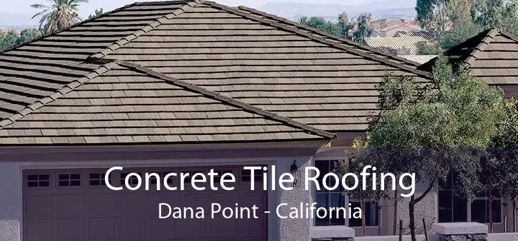 Concrete Tile Roofing Dana Point - California