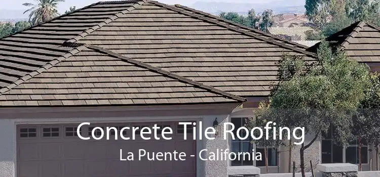 Concrete Tile Roofing La Puente - California
