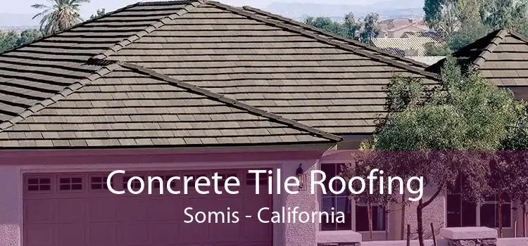 Concrete Tile Roofing Somis - California