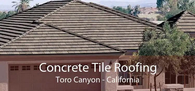 Concrete Tile Roofing Toro Canyon - California
