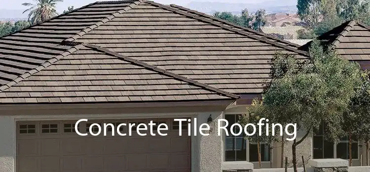 Concrete Tile Roofing 