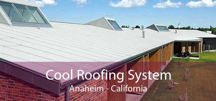 Cool Roofing System Anaheim - California