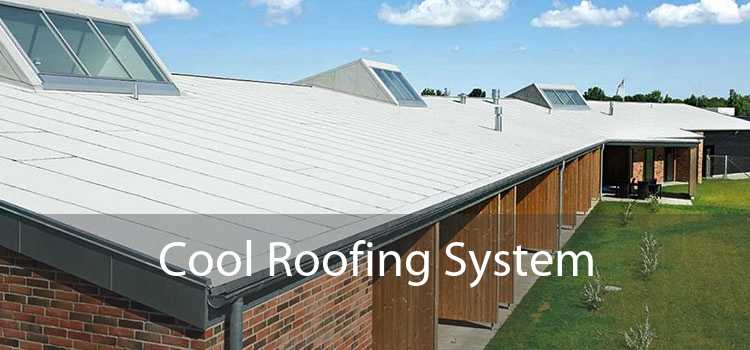 Cool Roofing System 