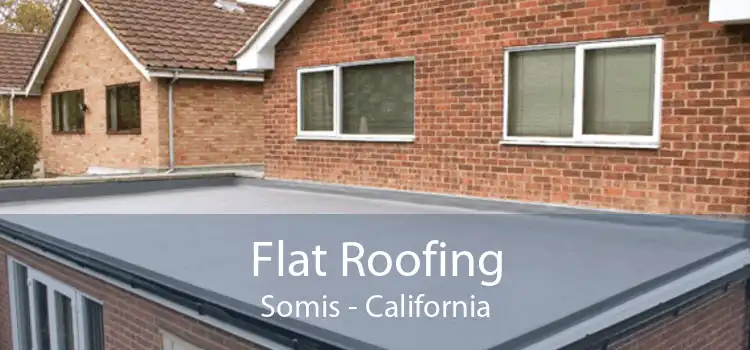 Flat Roofing Somis - California