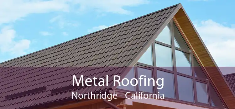Metal Roofing Northridge - California
