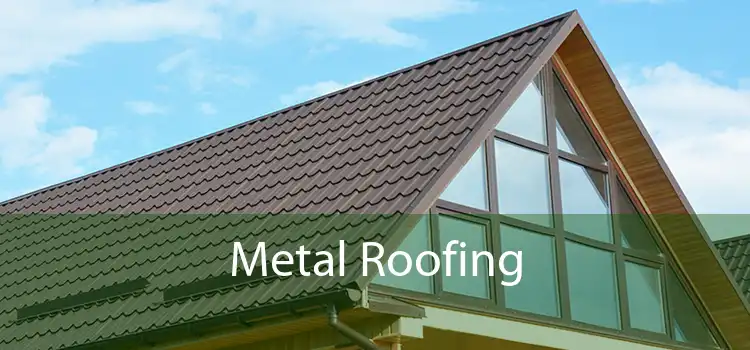 Metal Roofing 