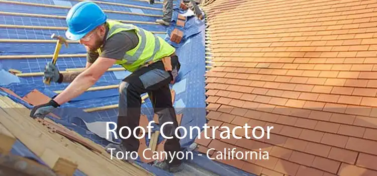 Roof Contractor Toro Canyon - California