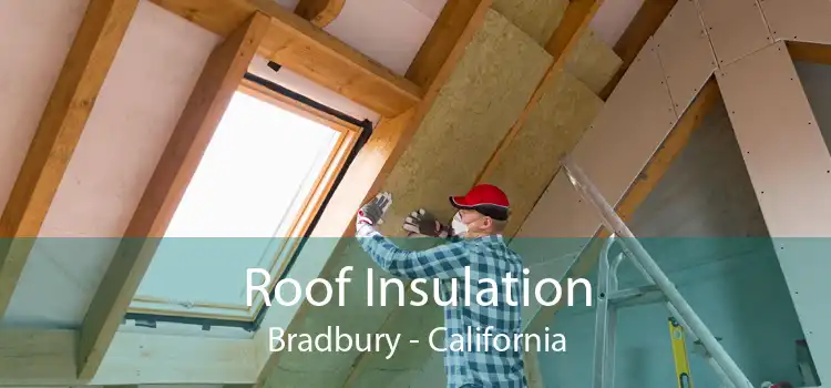 Roof Insulation Bradbury - California