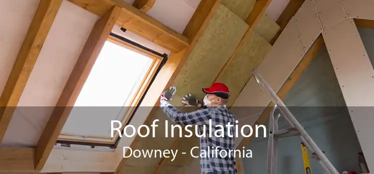 Roof Insulation Downey - California