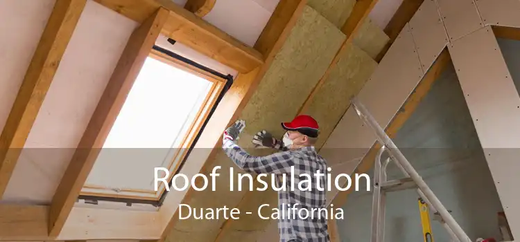 Roof Insulation Duarte - California