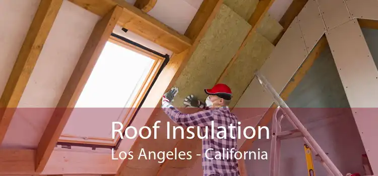 Roof Insulation Los Angeles - California