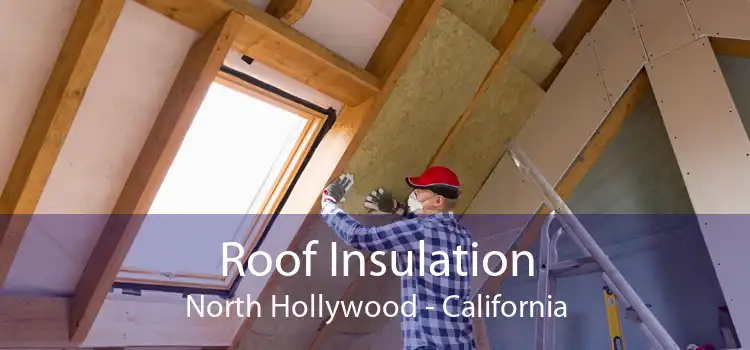 Roof Insulation North Hollywood - California