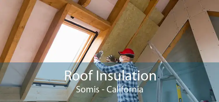Roof Insulation Somis - California