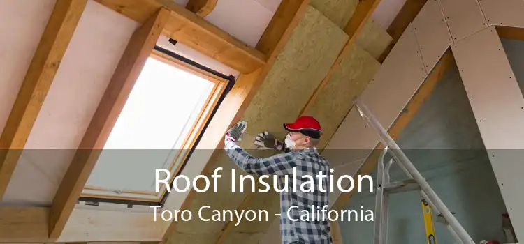 Roof Insulation Toro Canyon - California