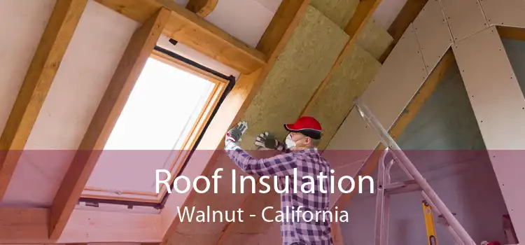 Roof Insulation Walnut - California