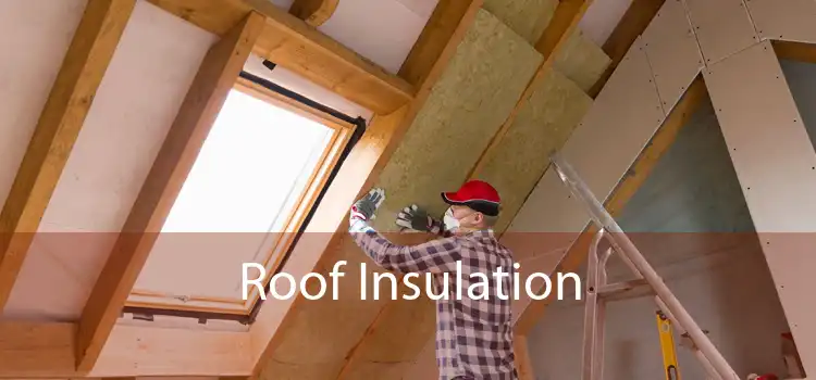 Roof Insulation 