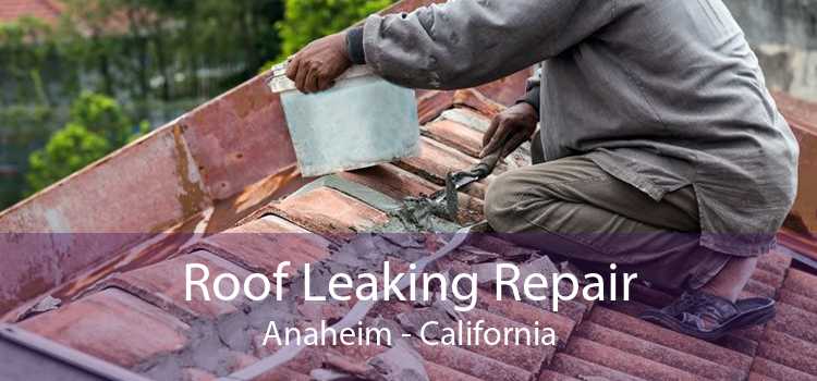 Roof Leaking Repair Anaheim - California