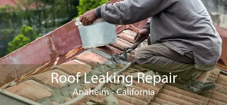 Roof Leaking Repair Anaheim - California