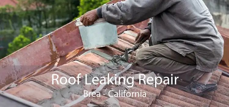 Roof Leaking Repair Brea - California