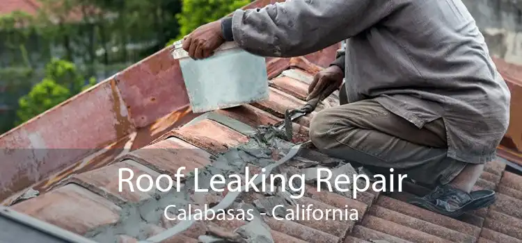 Roof Leaking Repair Calabasas - California