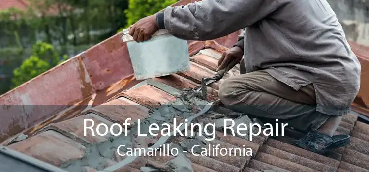 Roof Leaking Repair Camarillo - California